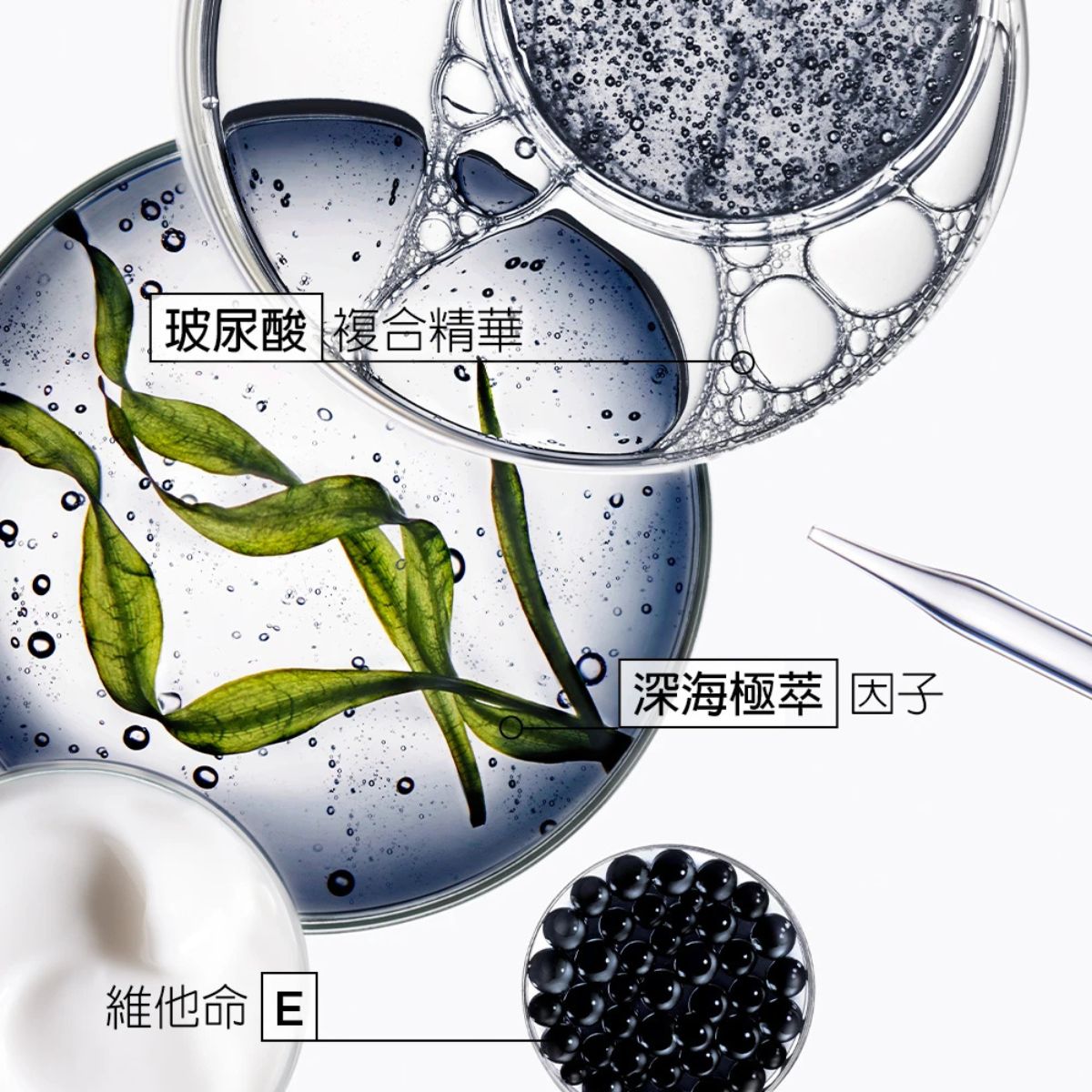 #卡詩 KÉRASTASE 黑鑽極萃逆時洗護旅行組