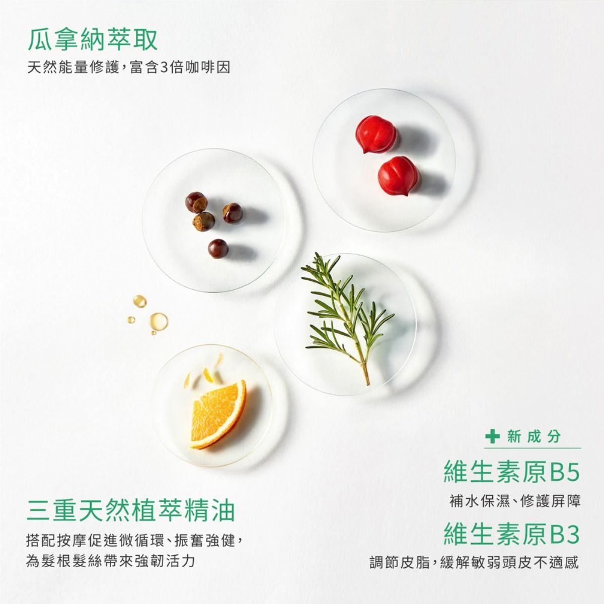 René Furterer FORTICEA 複方精油煥能修護膜 500ml