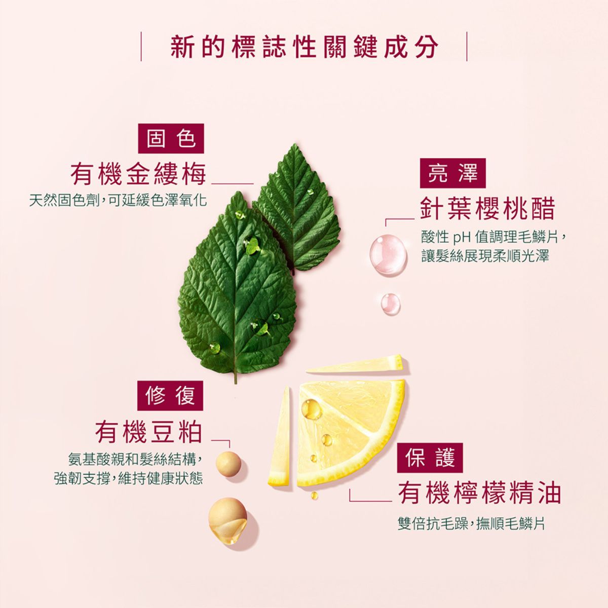 René Furterer COLOR GLOW 巴勒莫絲光髮浴 200ml/500ml