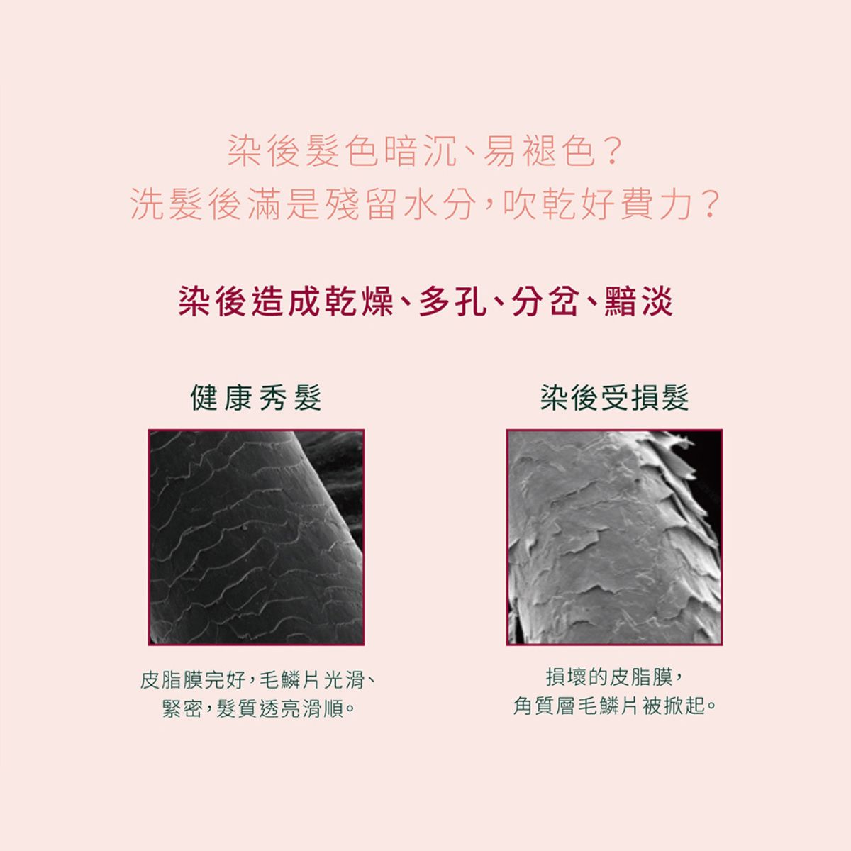 René Furterer COLOR GLOW 巴勒莫絲光髮浴 200ml/500ml