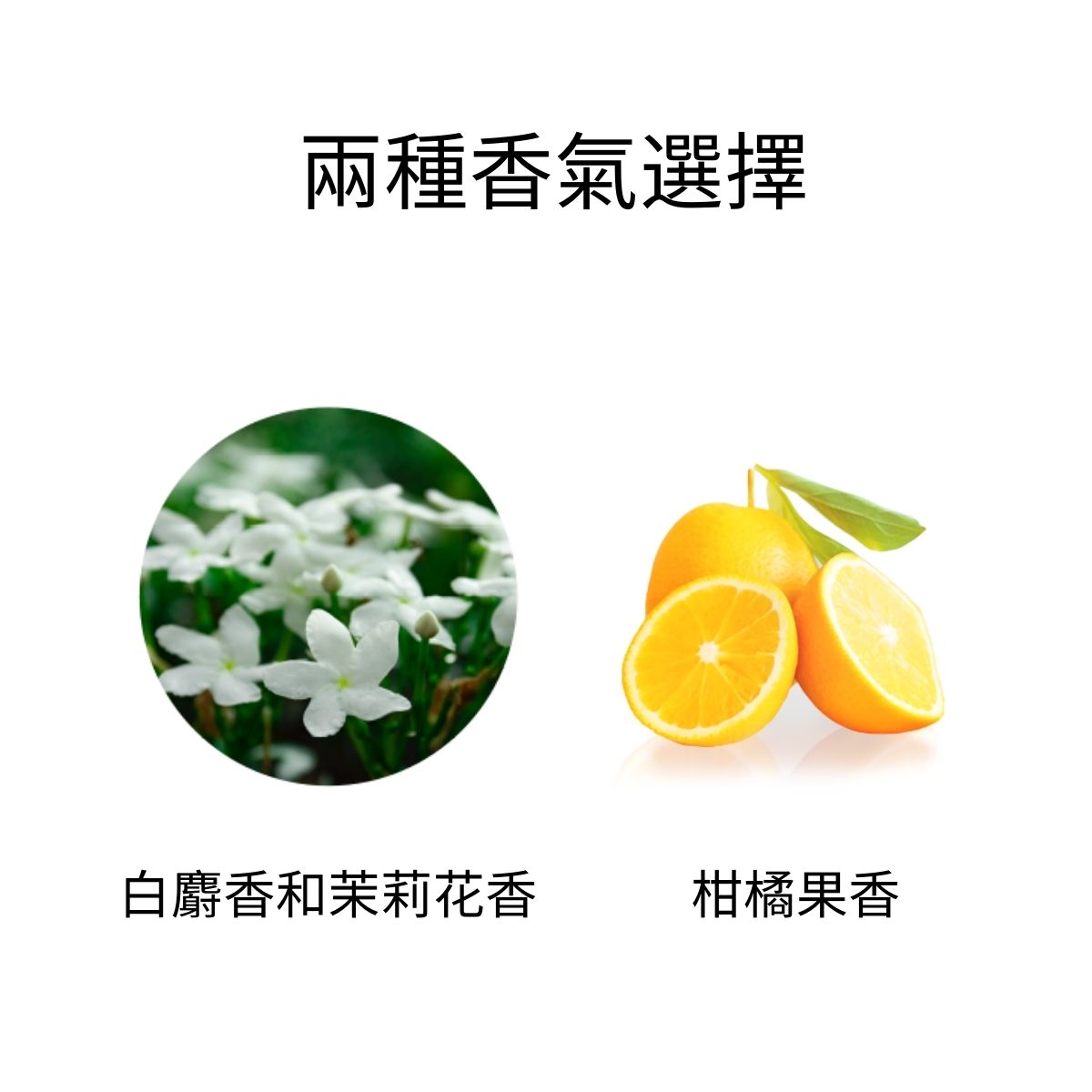 【新品】TBC 絲潤美肌入浴劑