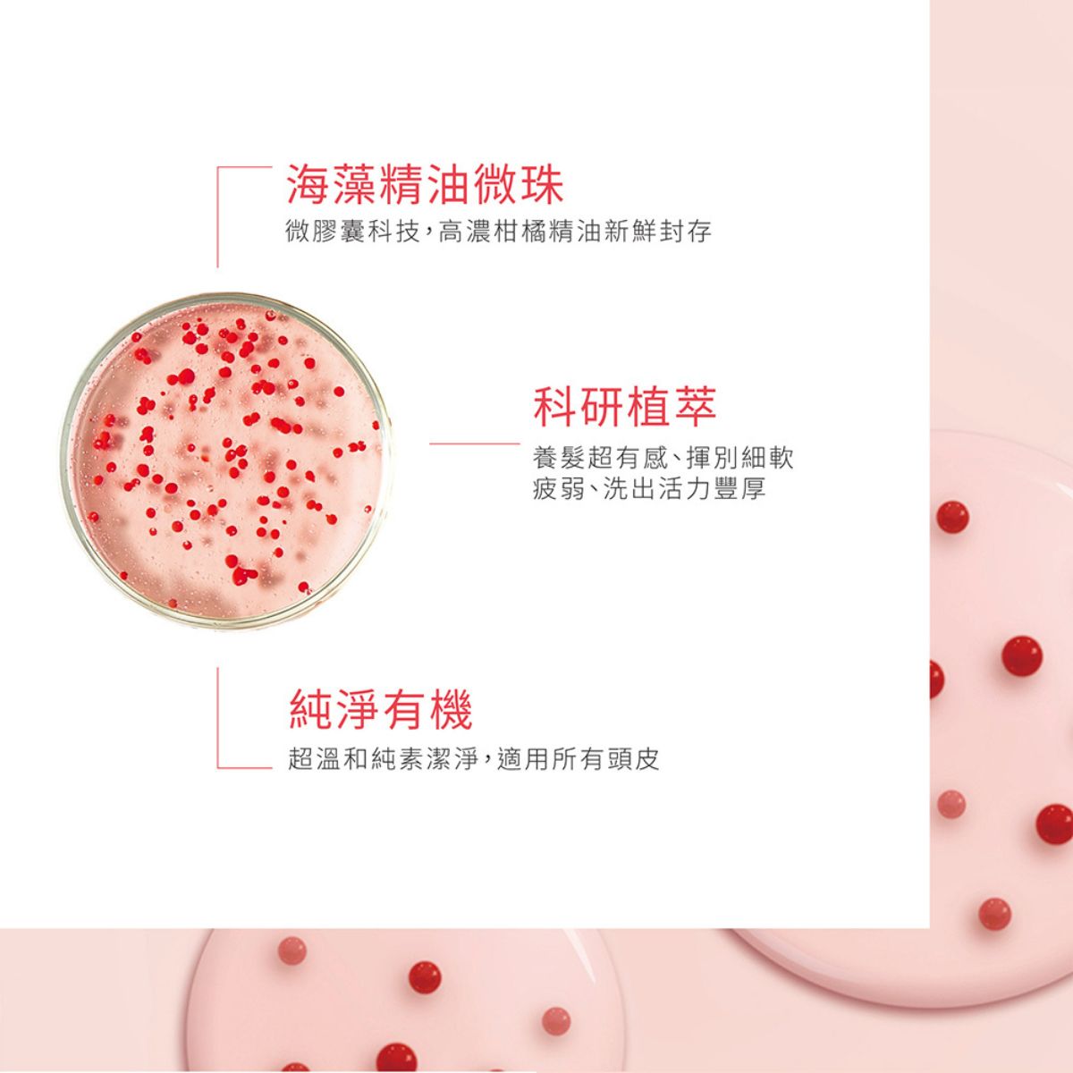 René Furterer TONUCIA 瓔珞木泉能髮浴 200ml/600ml