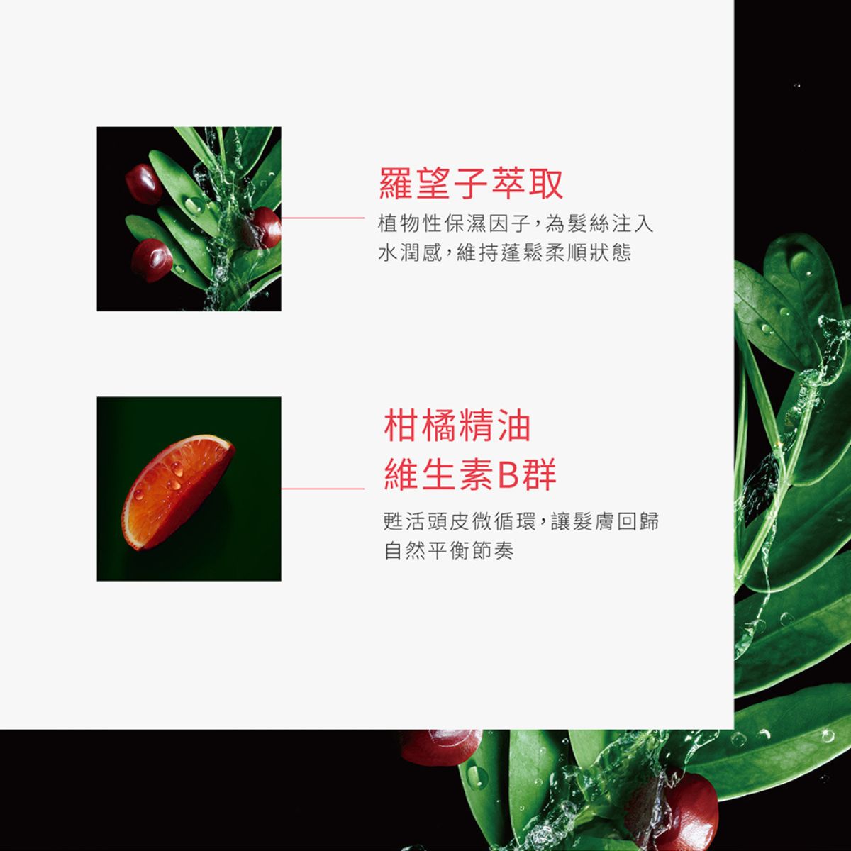 René Furterer TONUCIA 瓔珞木泉能髮浴 200ml/600ml