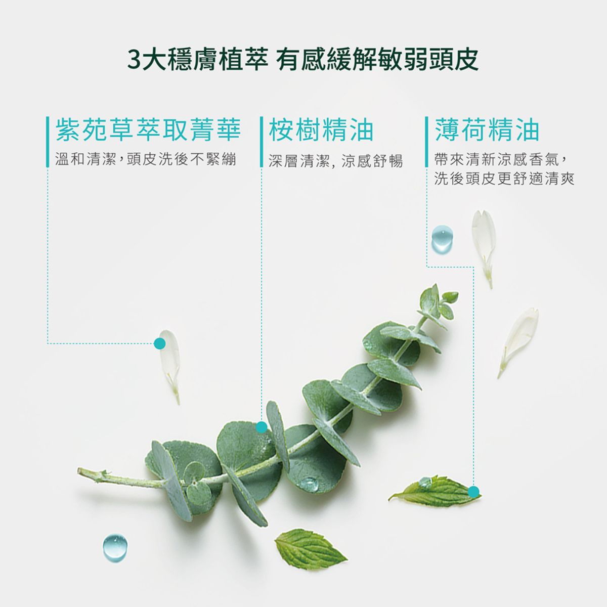 #René Furterer 紫苑草頭皮舒緩精油 沁涼耀眼組