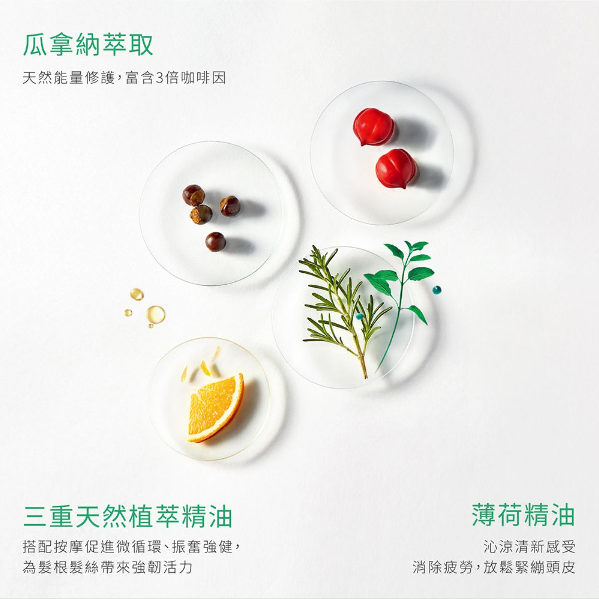 René Furterer FORTICEA 複方精油養髮液(免沖) 100ml