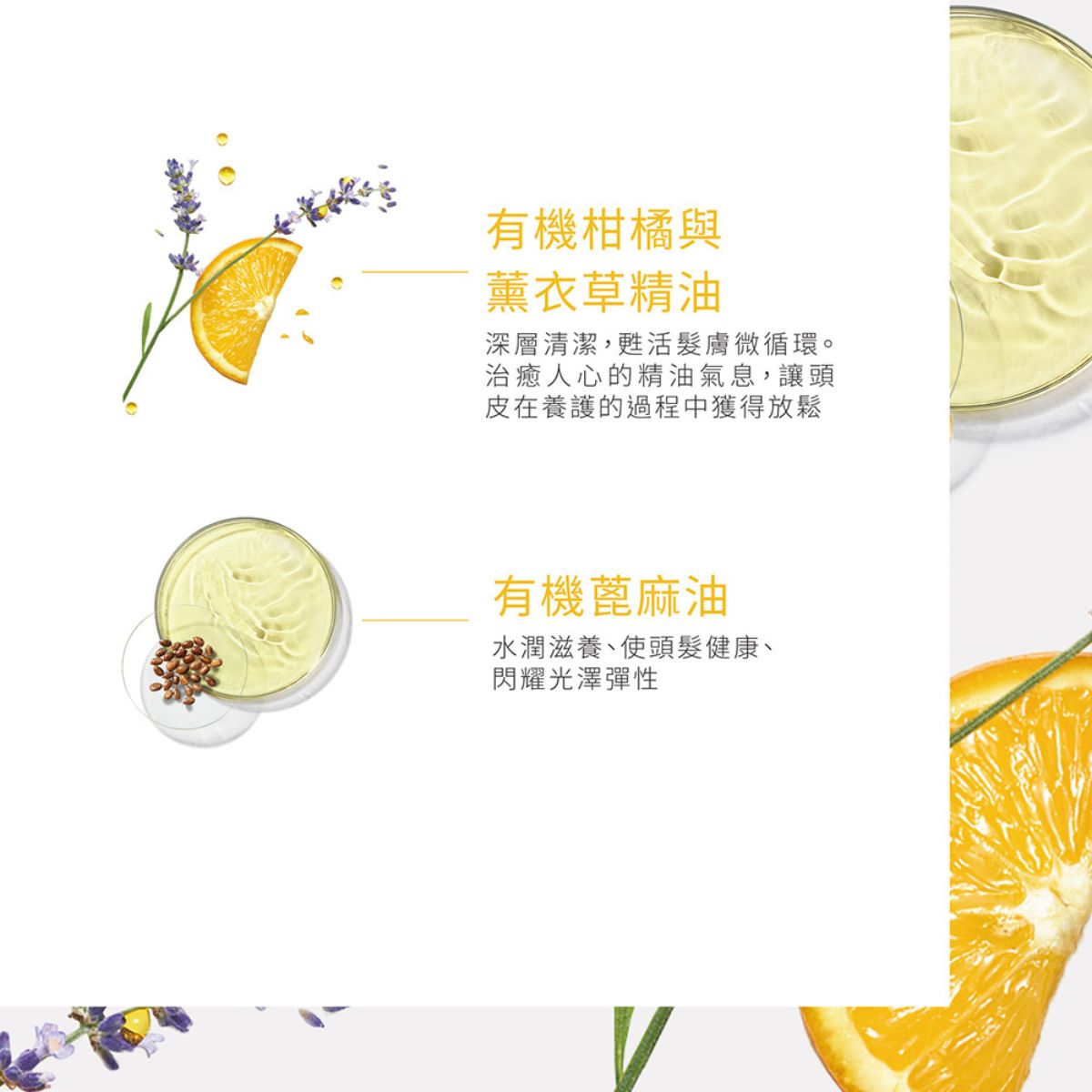 René Furterer RF頭皮養護5號精油 50ml