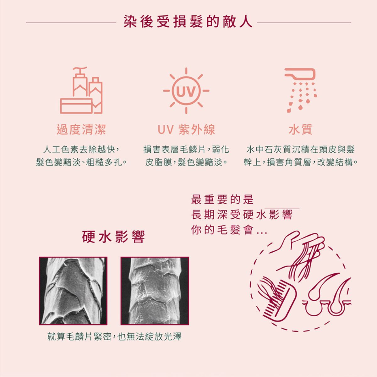 #René Furterer 萊法耶 巴勒莫絲光 護色保養組 (79折)