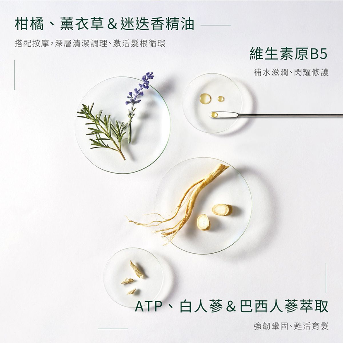 René Furterer TRIPHASIC 三項森髮激活髮浴 200ml