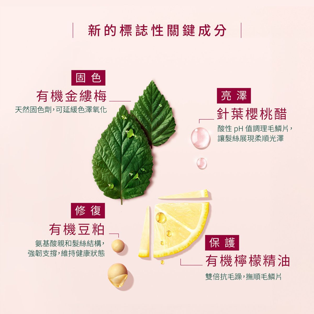 René Furterer COLOR GLOW 巴勒莫絲光 髮色續航組