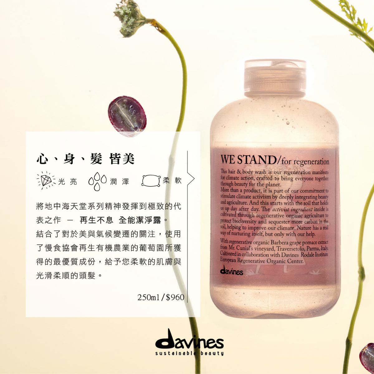Davines 再生不息全能潔淨露250ml