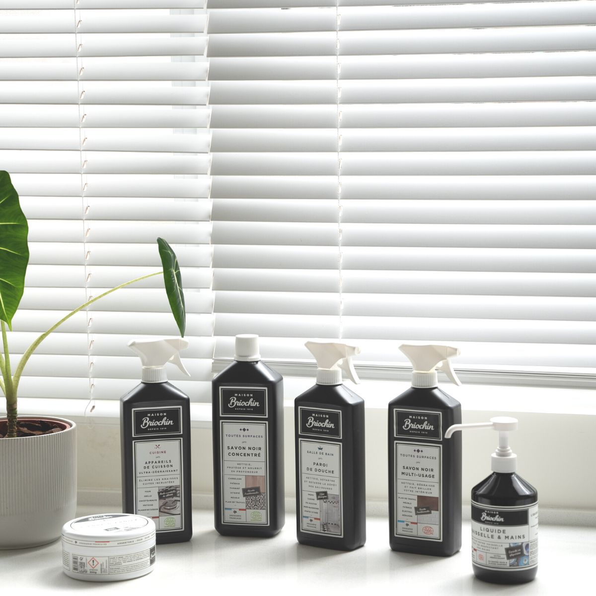 Maison Briochin 神奇萬用清潔石 300g