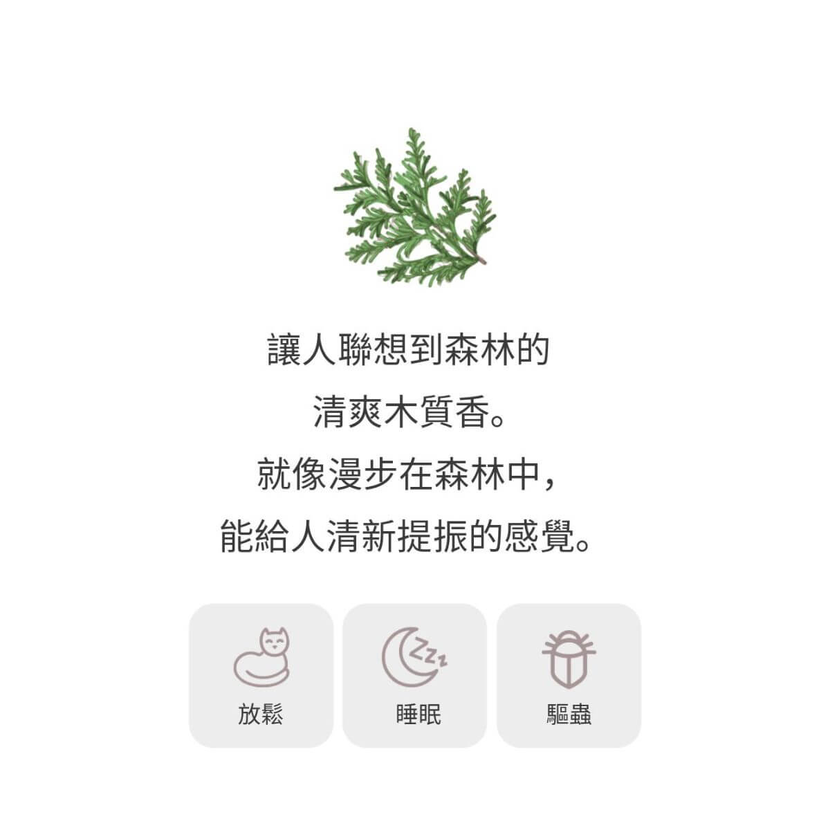 Ogaroma 日本和精油 檜木│ ヒノキ