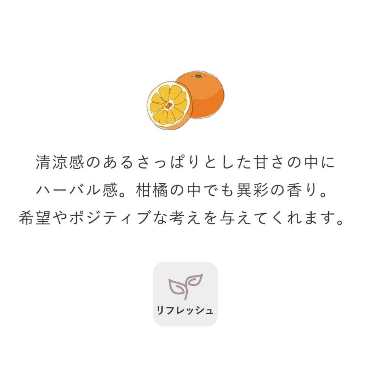 Ogaroma 日本和精油 伊予柑