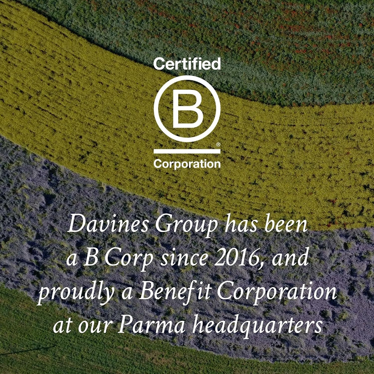 【母親節限定 77 折起】Davines 特芬莉 pH5.5 平衡控油洗髮露 1,000ml