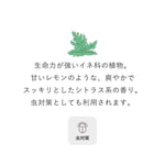 Ogaroma香茅